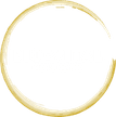 Bio-Vital icon